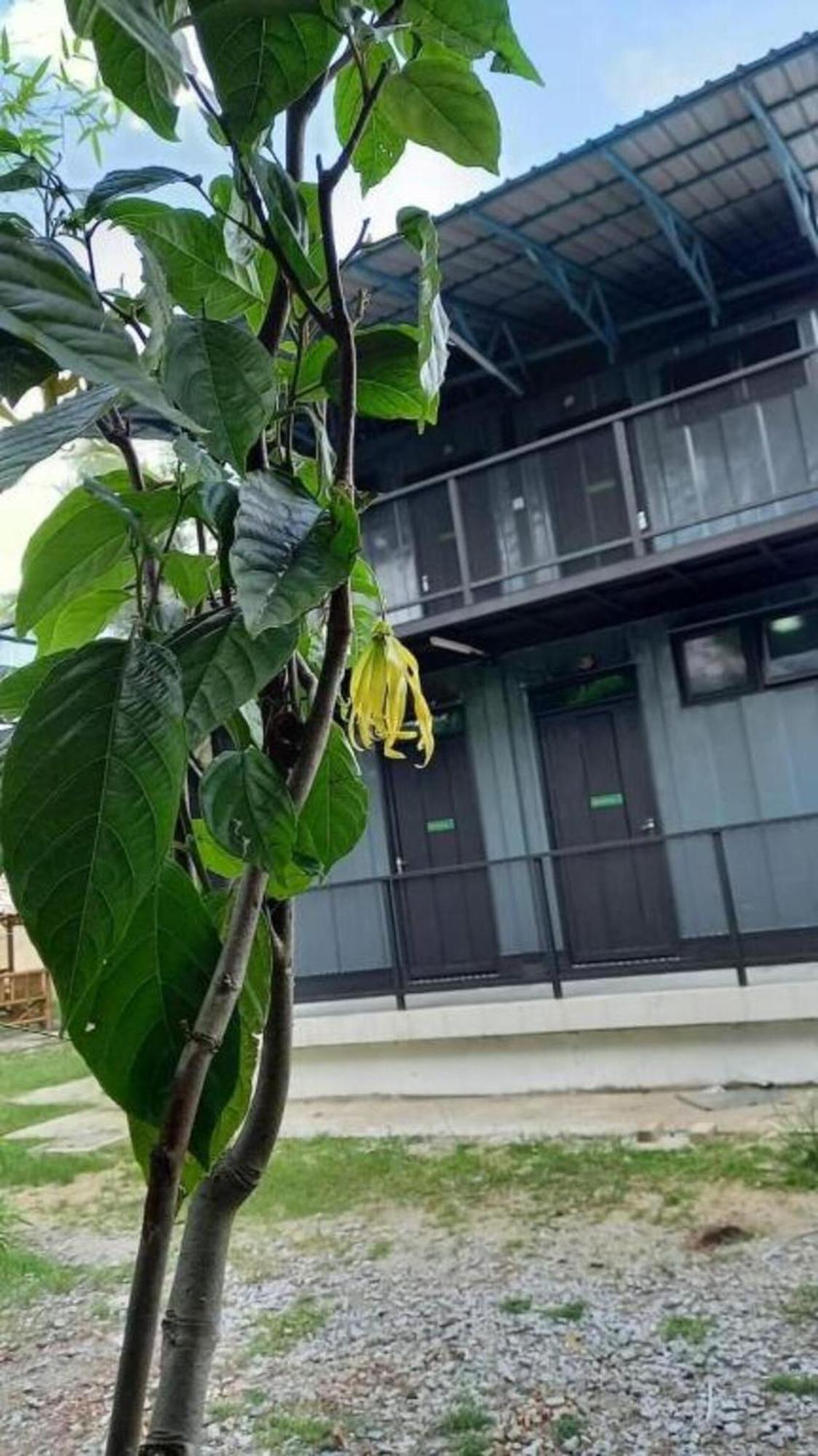 Cerana Villa Eco Resort Kota Bharu Exterior photo